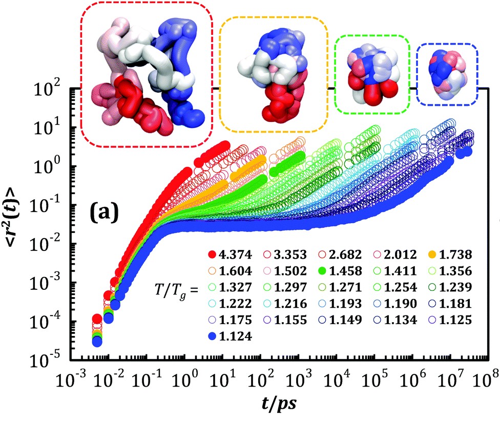 Mean-squre displacments for a bead-spring polymer (image by Sean Hung, adapted from  Hung, Patra, Meenakshisundaram, Mangalara, Simmons, Soft Matter, 15 (2019) 1223-1242. doi: 10.1039/C8SM02051E.